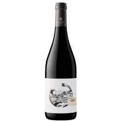 Gayda  Syrah  2022 Pays D...