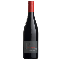 Photographie d'une bouteille de vin rouge Pelle Morogues 2022 Menetou Salon Rge 75cl Crd