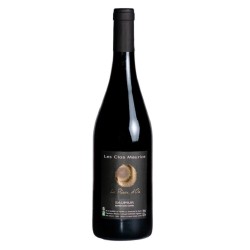 Photographie d'une bouteille de vin rouge Clos Maurice La Piece D Or 2021 Saumur Rge 75cl Bio Crd