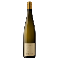 Trapet Sonnenglanz 2010 Pinot Gris Blc 75cl Crd