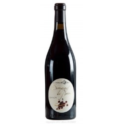 Noire Caractere 2014 Chinon Rge 75cl Crd