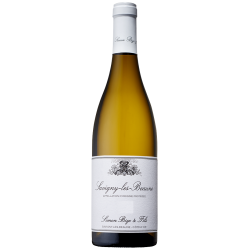 Bize Savigny-Les-Beaune 2020 Blc 75cl Crd