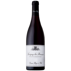 Bize Savigny-Les-Beaune 2019 Rge 75cl Crd