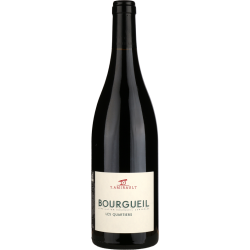 Y Amirault Les Quartiers 2020 Bourgeuil Rge Bio 75cl Crd