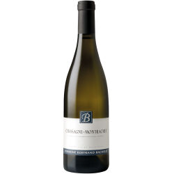 Bachelet Chassagne-Montrachet 2021 Blc 75cl Crd