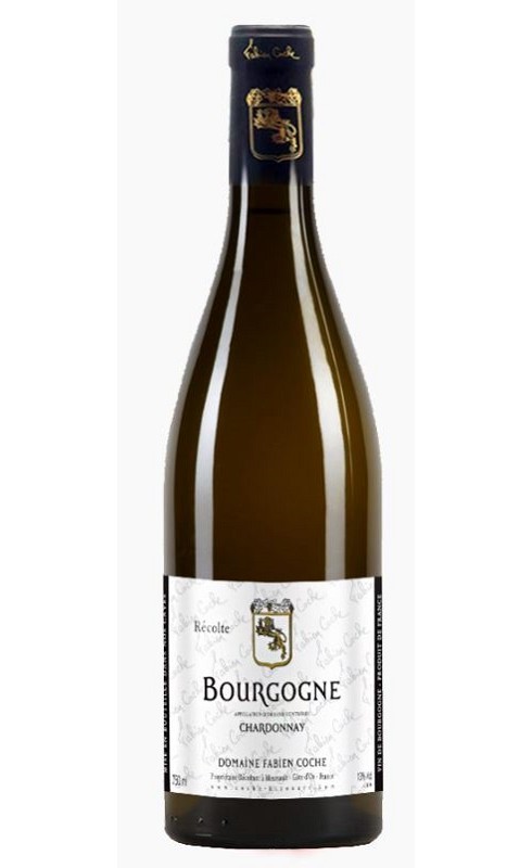 Coche Chardonnay 2020 Bourgogne Blc 75cl Crd