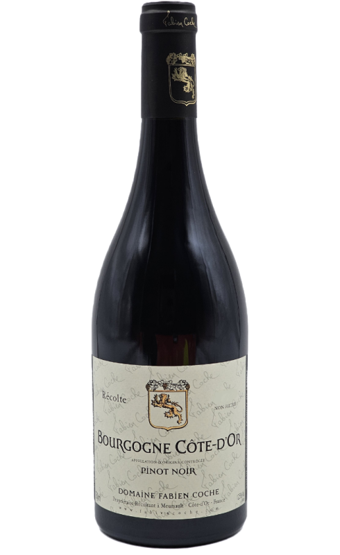 Coche Pinot Noir Cote D Or 2020 Bourgogne Rge 75cl Crd