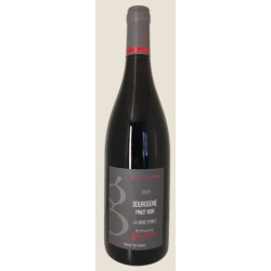 Gueguen La Vigne D Emile 2021 Bgne Rge 75cl Crd