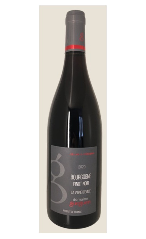 Gueguen La Vigne D Emile 2021 Bgne Rge 75cl Crd