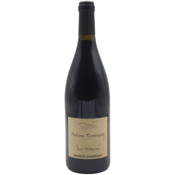 Sanzay La Paterne 2022 Saumur Rge Bio 75cl Crd