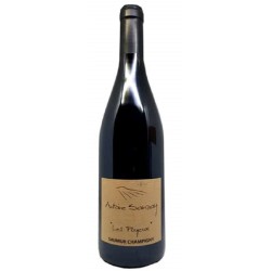 Sanzay Les Poyeux 2021 Saumur Rge Bio 75cl Crd