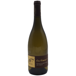 Forest Les Crays 2022 Pouilly-Fuisse Blc 75cl Crd