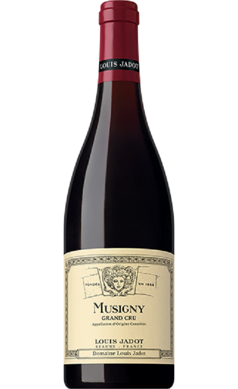 Jadot Musigny Grand Cru 2021 Rge 75cl Crd