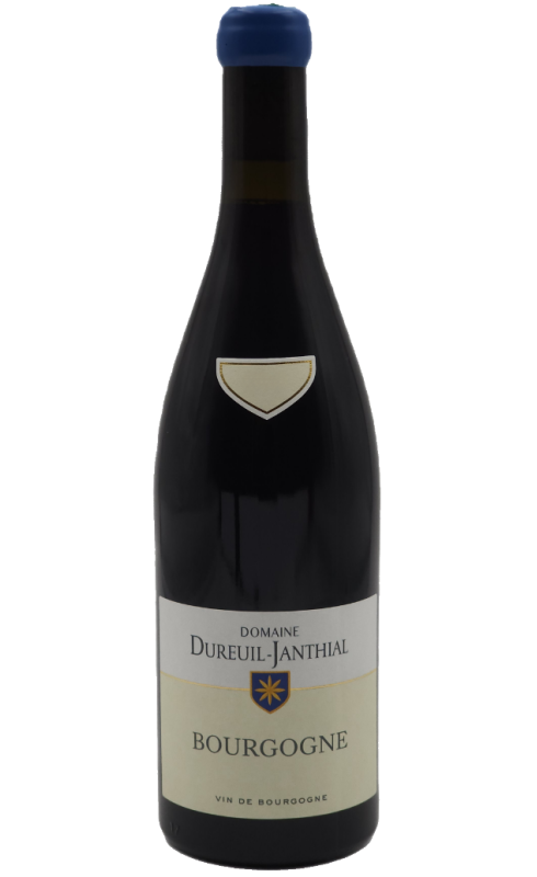 Dureuil-Janthial Bourgogne 2021 Rge 75cl Crd