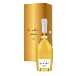 Delavenne Ame De Vitalie Gc Champagne Blc 75cl Crd