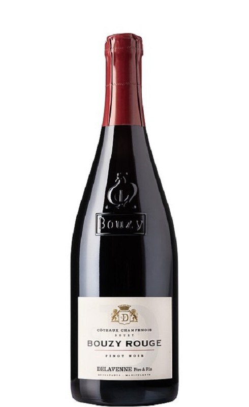 Delavenne Bouzy 2019 Coteaux Champ Rge 75cl Crd