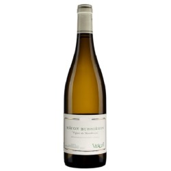 Verget Vignes De Montbrison 2021 Macon Buss Blc 75cl Crd