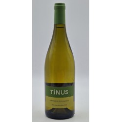 Guffens Tinus Marsanne Roussanne 2021 Vdf Blc 75cl Crd