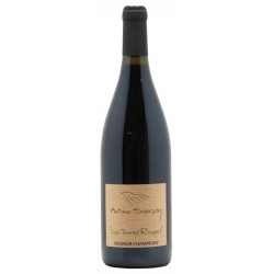 Sanzay Terres Rouges 2020 Saumur Champ Rge Bio 75cl Crd