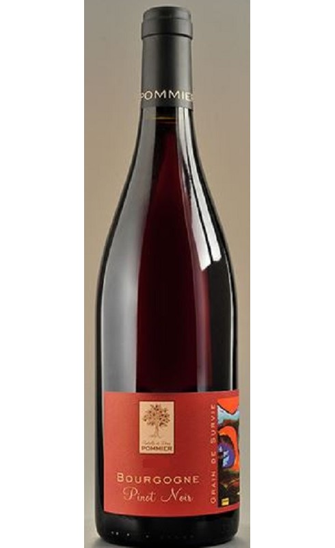 Pommier Grain De Survie Pinot Noir 2022 Bgne Rge 75cl Crd