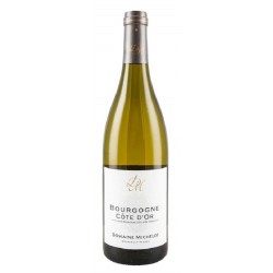 Michelot Bourgogne Cote D Or 2020 Bgne Blc 75cl Crd