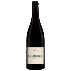 Y Amirault Le Grand Clos 2020 Bourgueil Rge Bio 75cl Crd