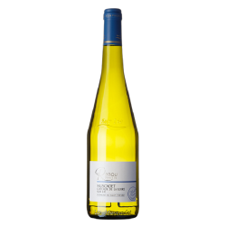 Renou Ecochere 2022 Muscadet Blc 37 5 Cl Crd