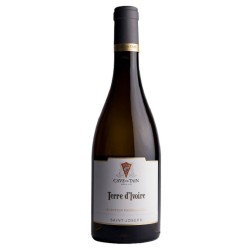 Tain Terre D Ivoire 2021 St-Joseph Blc 75cl Crd