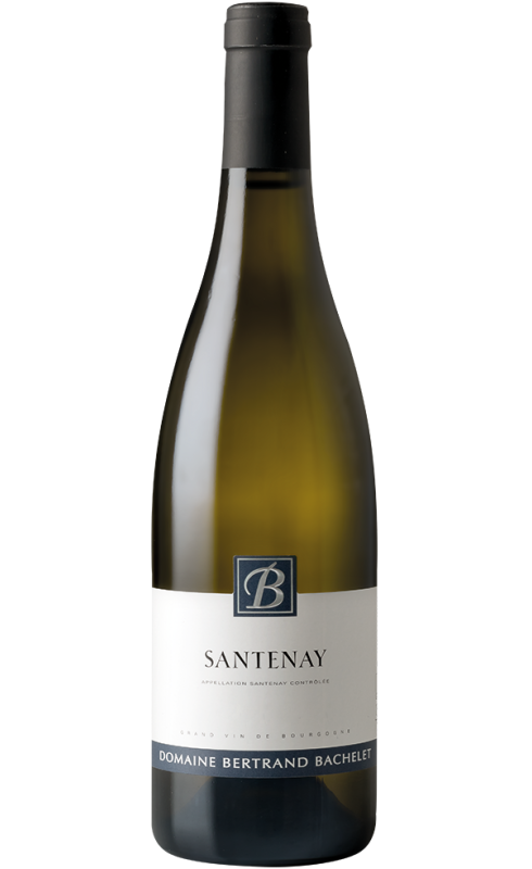 Bachelet Santenay 2021 Blc 75cl Crd