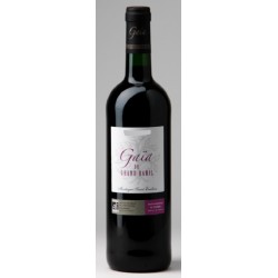 Cht Gaia De Gd Baril 2019 Mont St-Emilion Rge Bio 75cl Crd