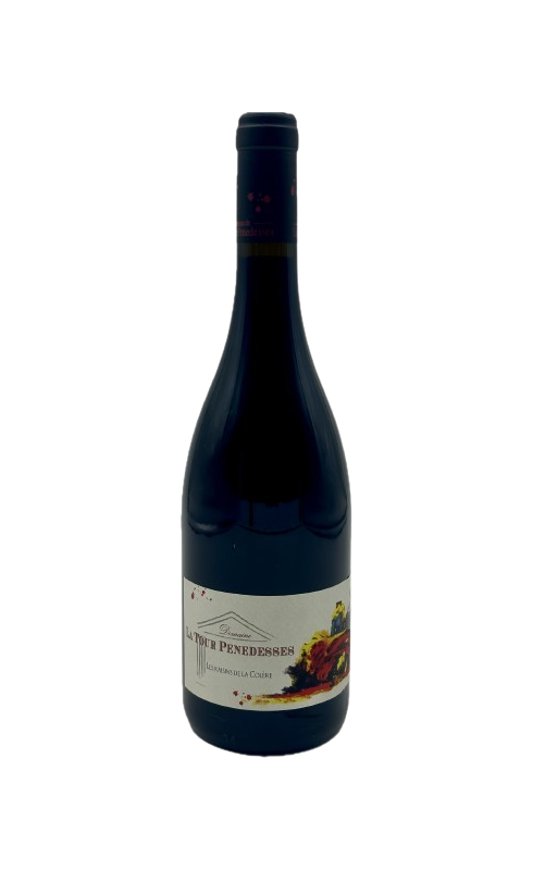 Penedesses Raisins De La Colere 2021 Faugeres Rge 75cl Crd