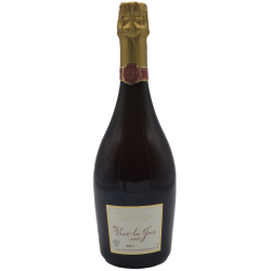 Bailly Vive La Joie 2020 Cremant Rose 75cl Crd