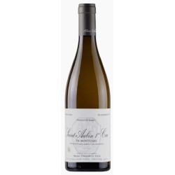 Colin En Montceau 2022 St-Aubin Blc 75cl Crd