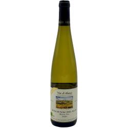 Becker Hagenschlauf 2020 Riesling Blc Bio 75cl Crd