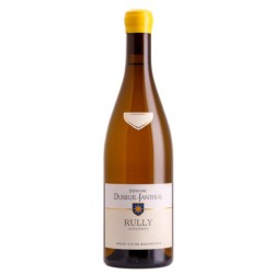 Dureuil-Janthial Maizieres 2022 Rully Blc 75 Cl Crd